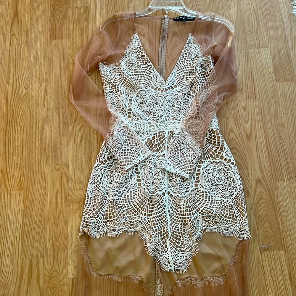 Mesh, lace  allusion dress. For Love of Lemons. Front and back mesh